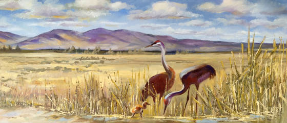 West/SandhillCranes.JPG