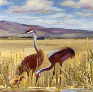 West/SandhillCranes_sq.JPG